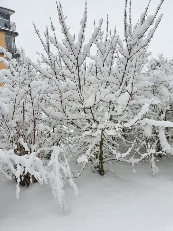 Wohnung Im Schwarzwald Mit Panorama Blick Kleines Wiesental Eksteriør billede