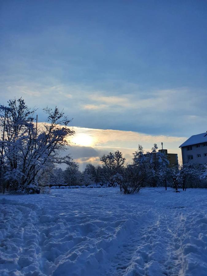 Wohnung Im Schwarzwald Mit Panorama Blick Kleines Wiesental Eksteriør billede