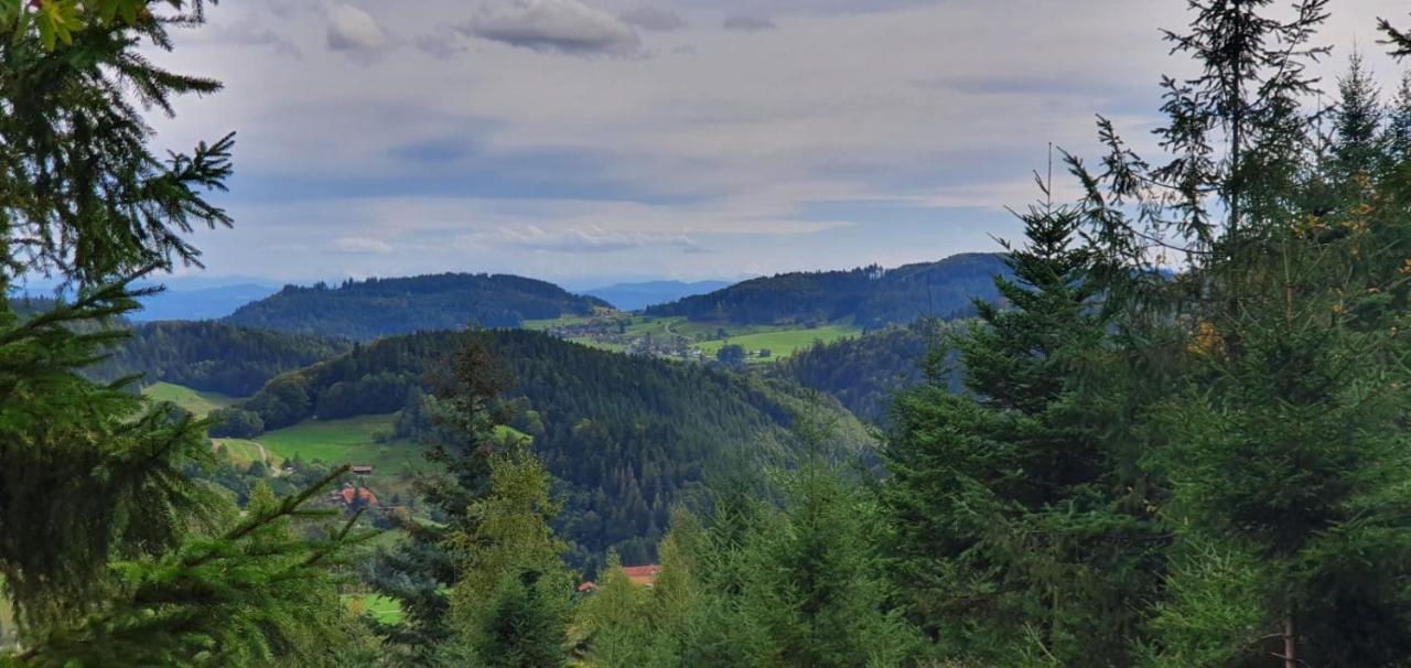 Wohnung Im Schwarzwald Mit Panorama Blick Kleines Wiesental Eksteriør billede