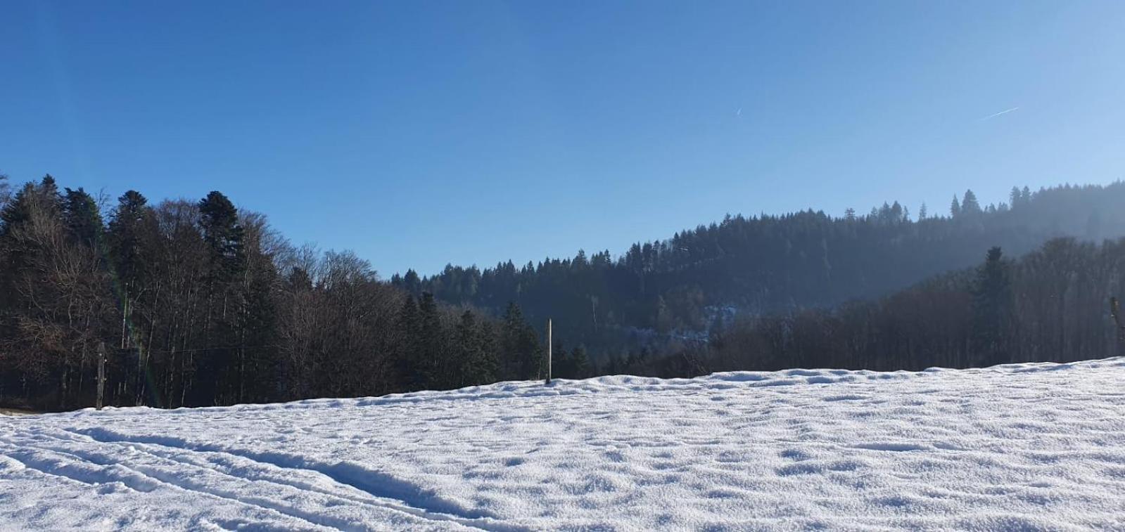 Wohnung Im Schwarzwald Mit Panorama Blick Kleines Wiesental Eksteriør billede