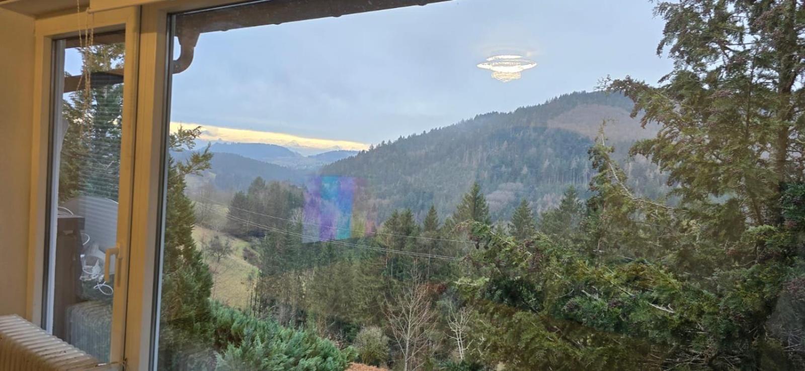Wohnung Im Schwarzwald Mit Panorama Blick Kleines Wiesental Eksteriør billede